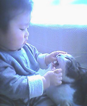 pic_0309.jpg